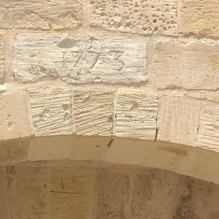 Mediterranea فيلة