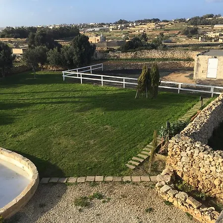 Mediterranea * Żabbar
