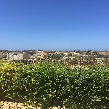 Mediterranea Żabbar
