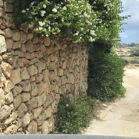 Mediterranea *