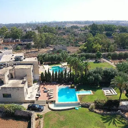 Mediterranea * Żabbar